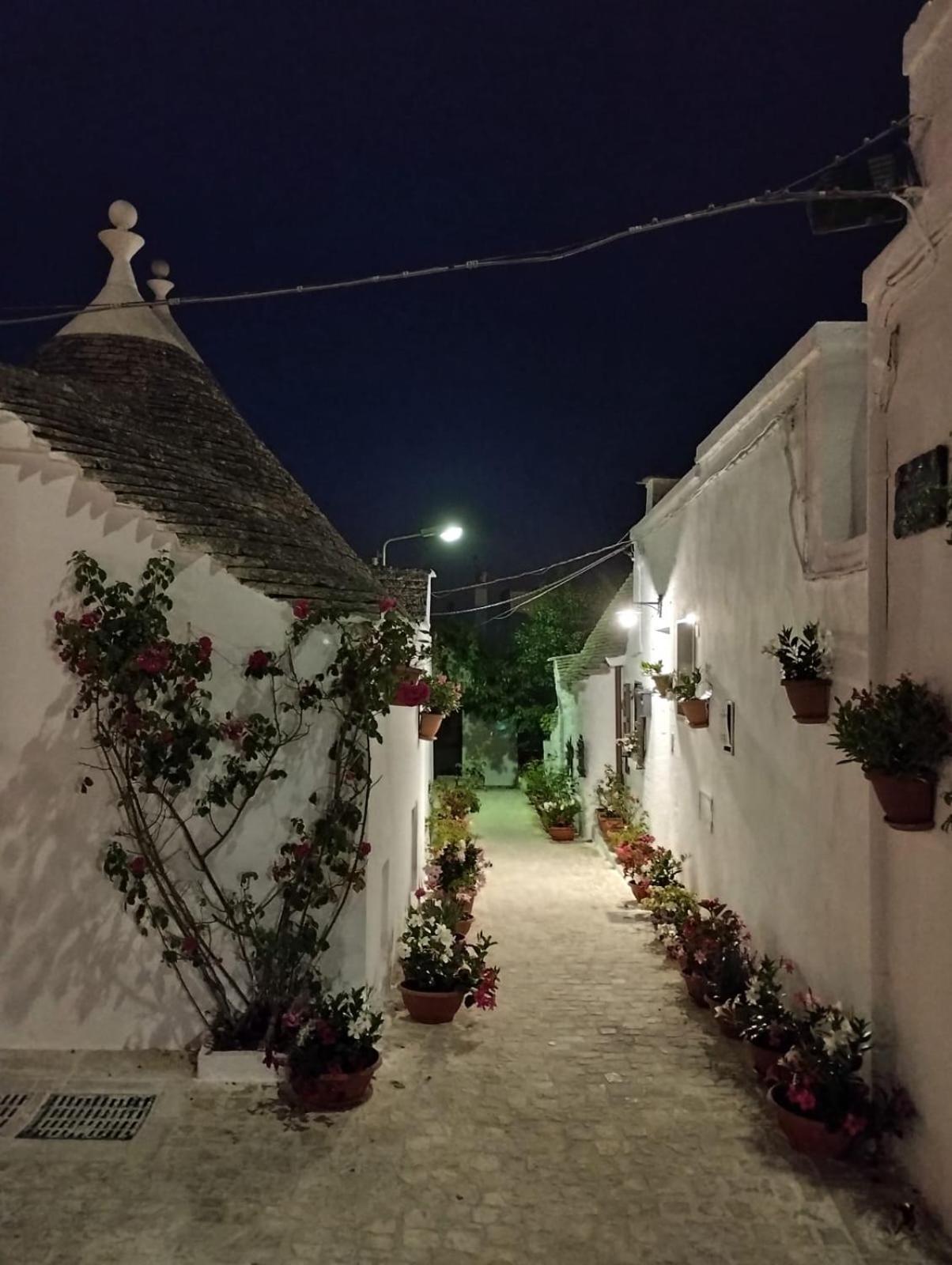 הוילה אלברובלו Trullo "Vicolo Fiorito" מראה חיצוני תמונה